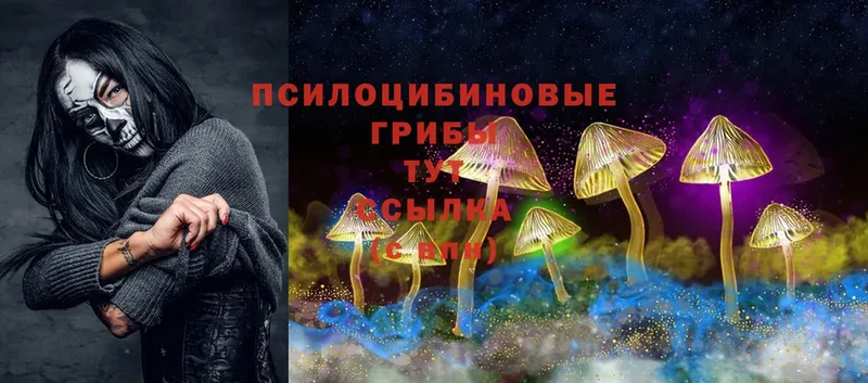 Галлюциногенные грибы Psilocybe  Волжск 